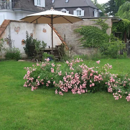 בית הארחה Biopension Satya