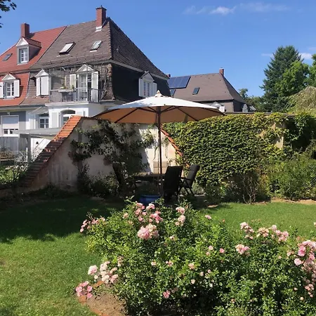 בית הארחה Biopension Satya