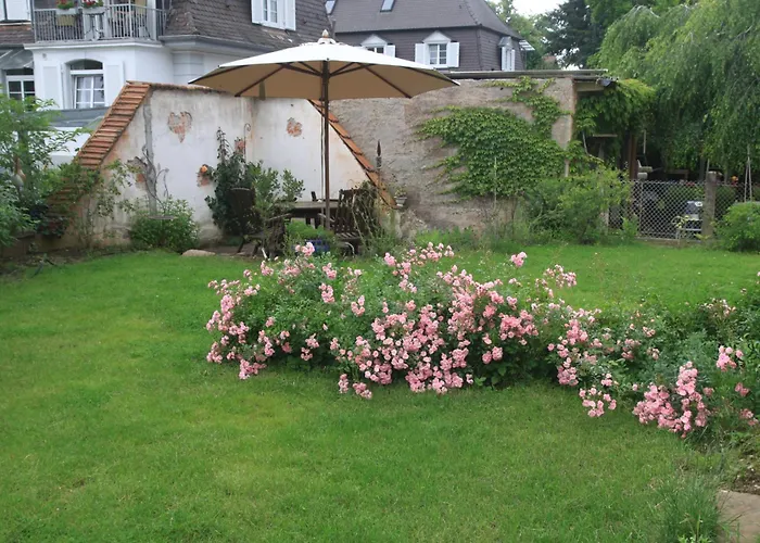 ゲストハウス Biopension Satya