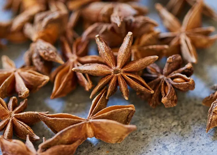 Biopension Satya 3* Offenburg